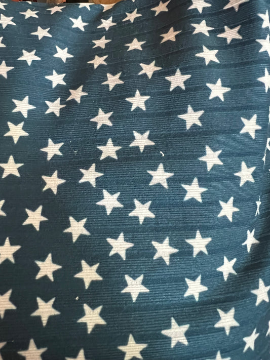 Brushed Ribbed knit - MS041 - Regular Scale - RETAIL