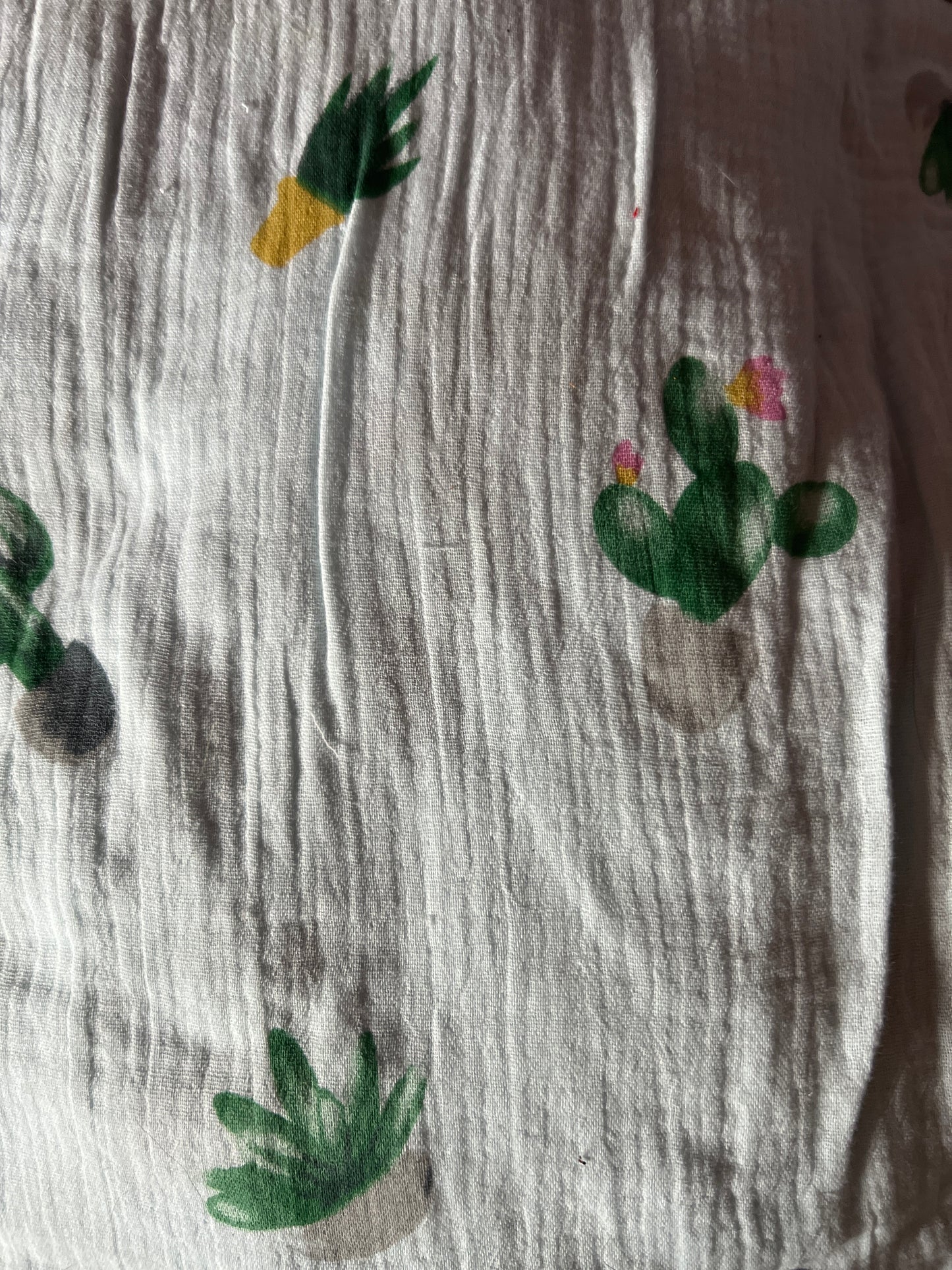 Cotton Gauze Muslin - cactus - 6x6 - RETAIL