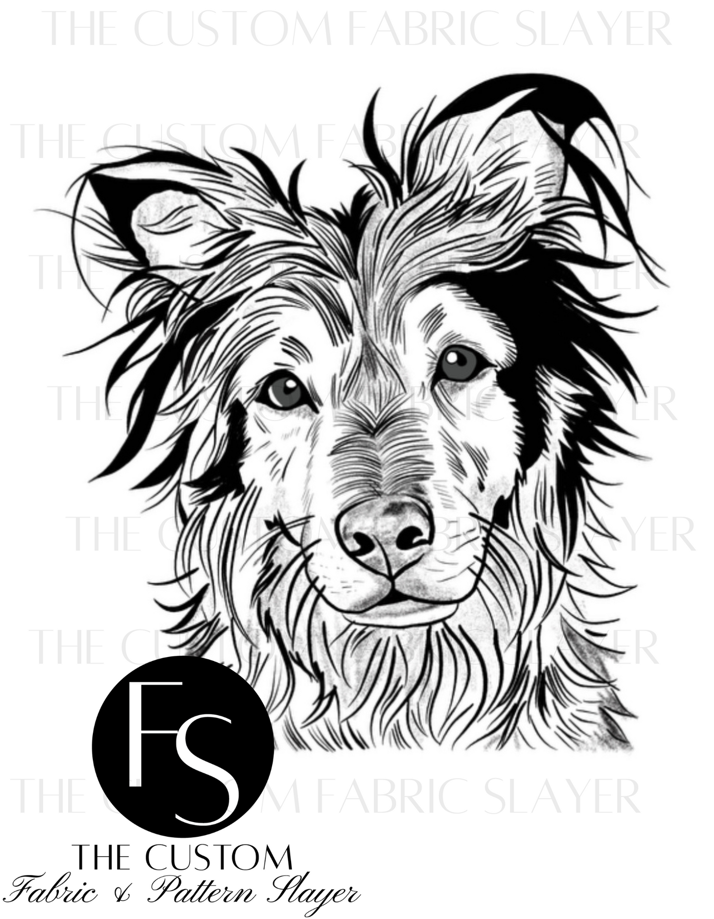Pet portraits