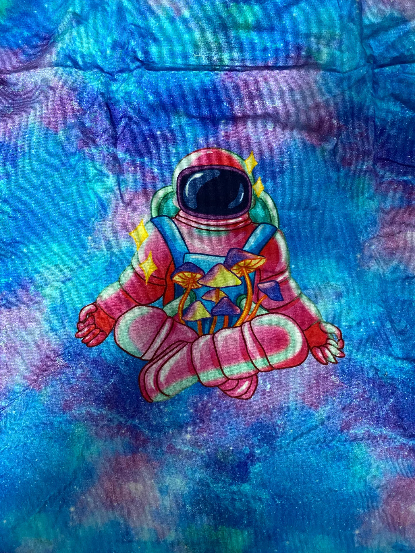 Space Trip Panel - RTS