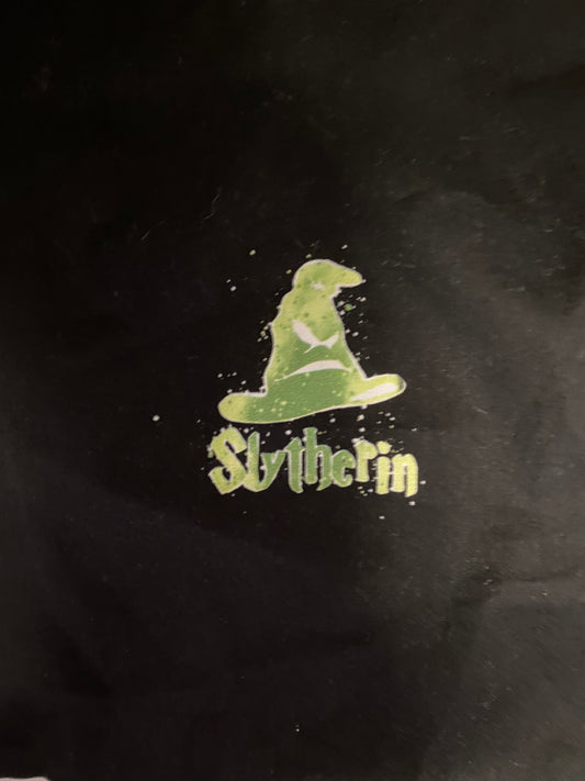 Slytherin Panel - RETAIL