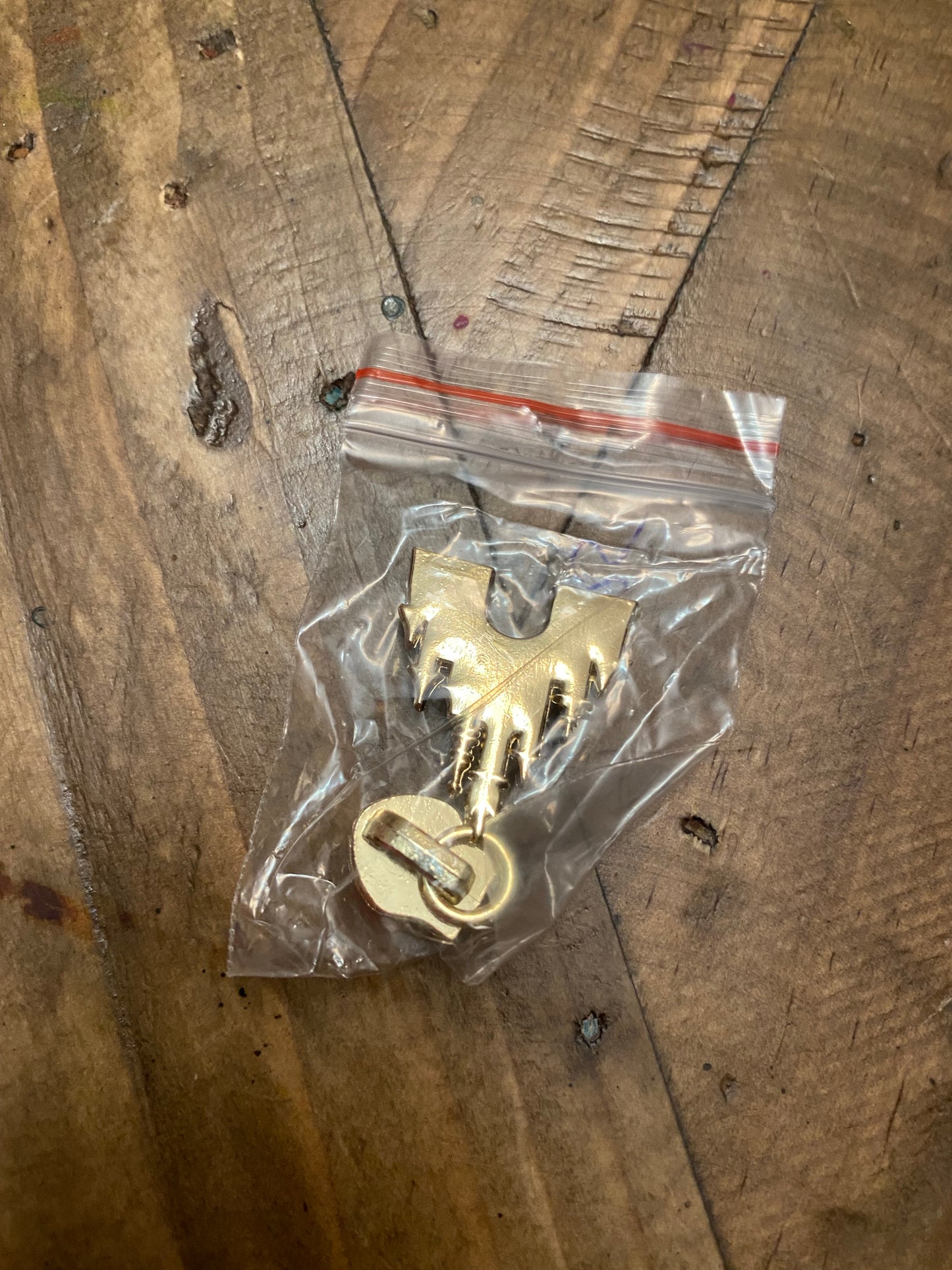 Magical Kingdom Zipper Pull - Retail
