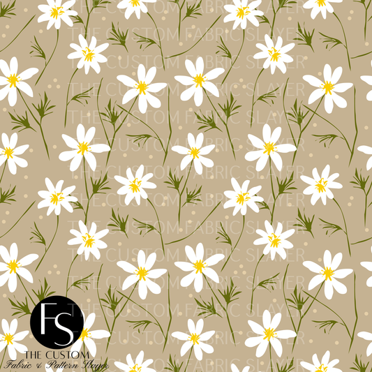 Wild Daisys - 2024