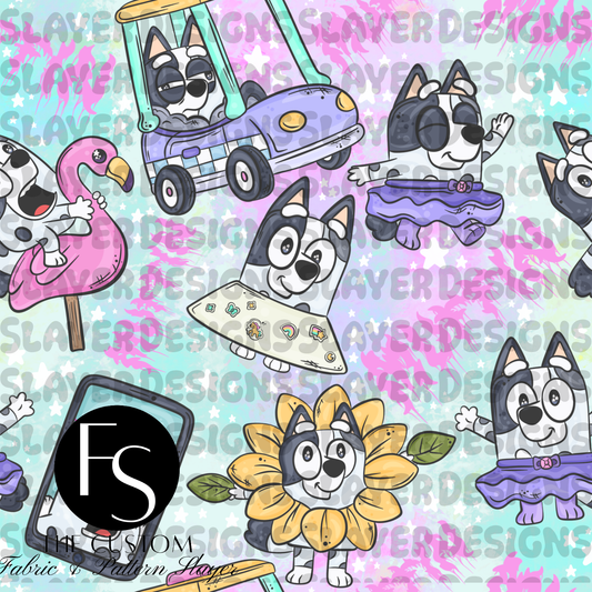 PC045 - PIXELCASS