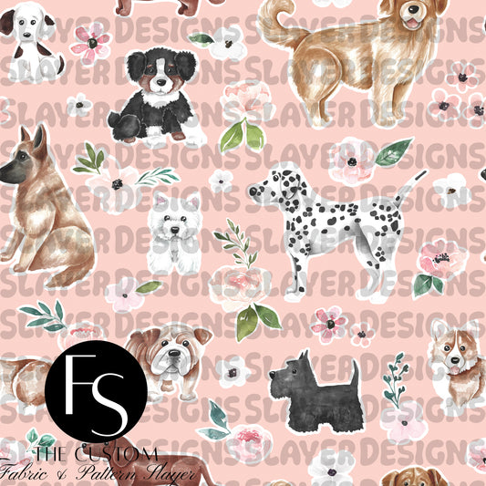 CR021 - CATE&RAINN
