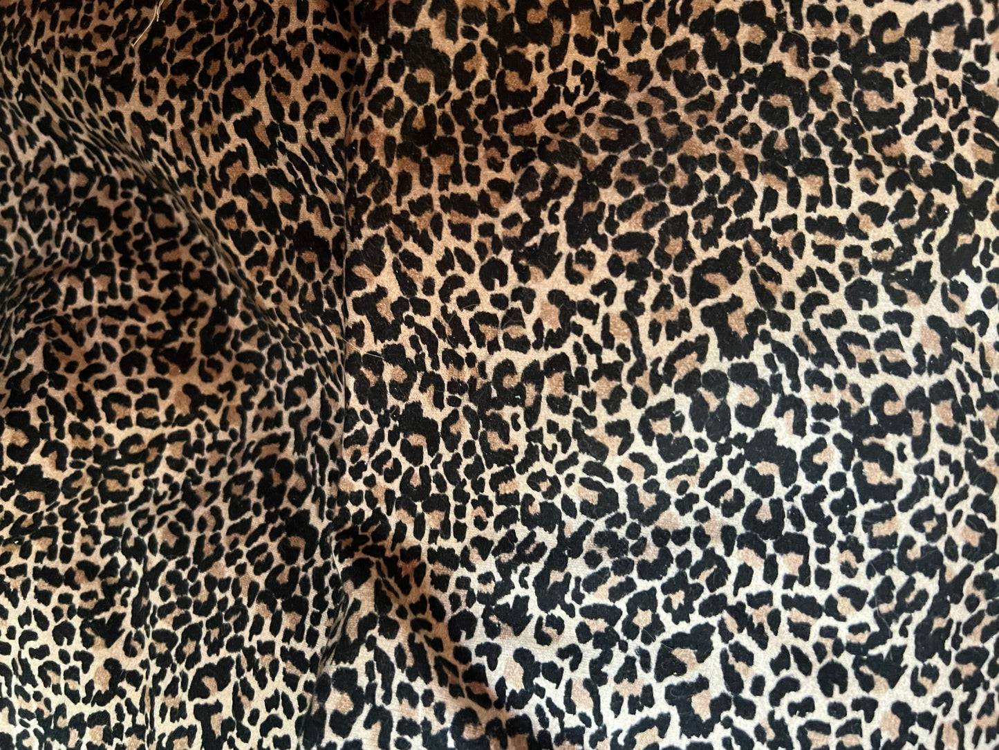 Brushed brushed french Terry - M045 - Regular Scale - RETAIL