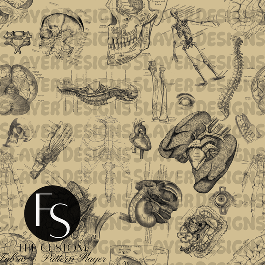 Anatomy 2.0 A - FABRICSLAYER