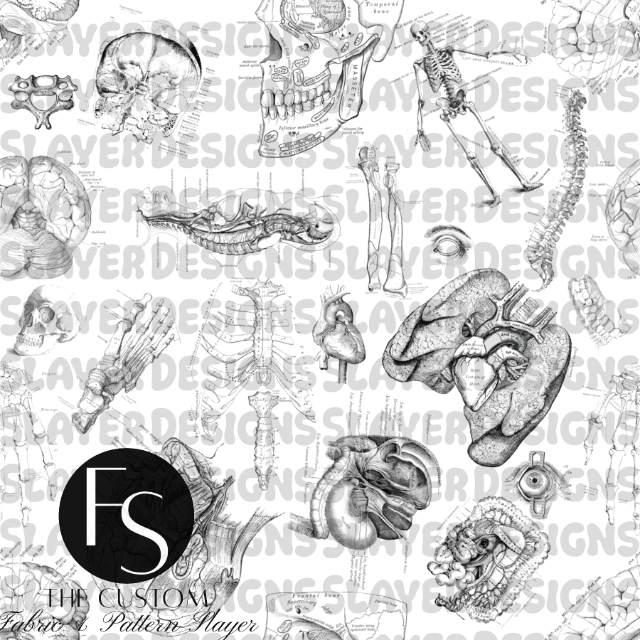 Anatomy 2.0 B - FABRICSLAYER