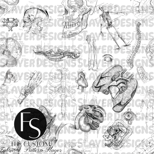 Anatomy 2.0 B - FABRICSLAYER