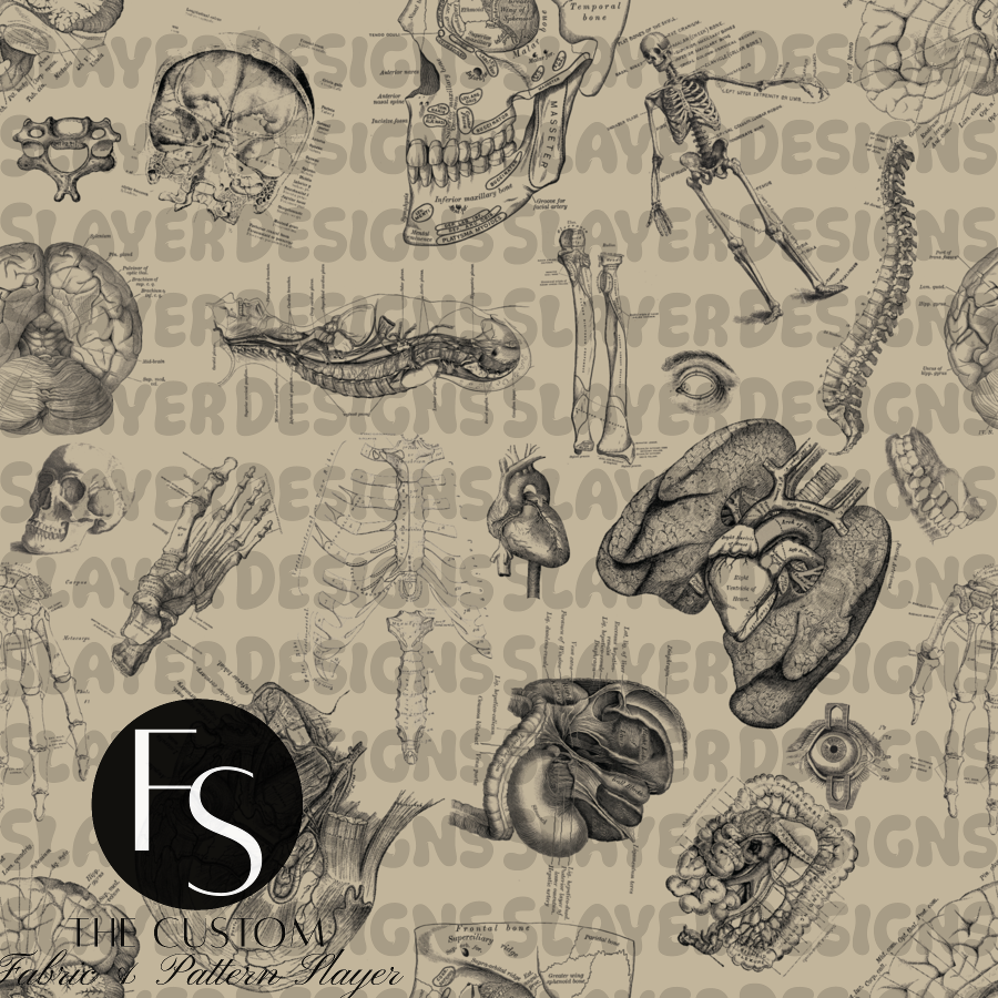 Anatomy 2.0 C - FABRICSLAYER
