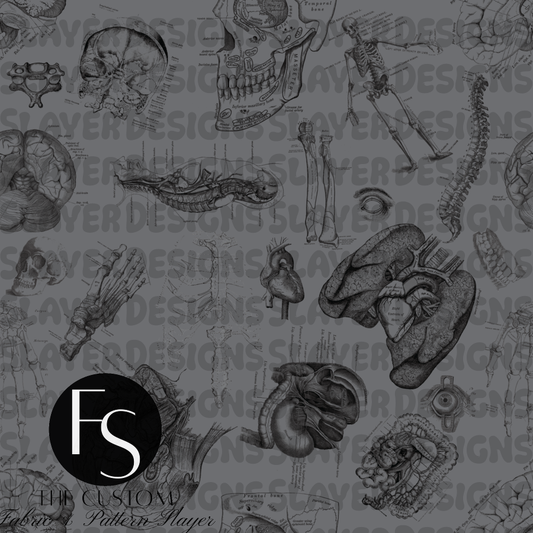 Anatomy 2.0 D - FABRICSLAYER