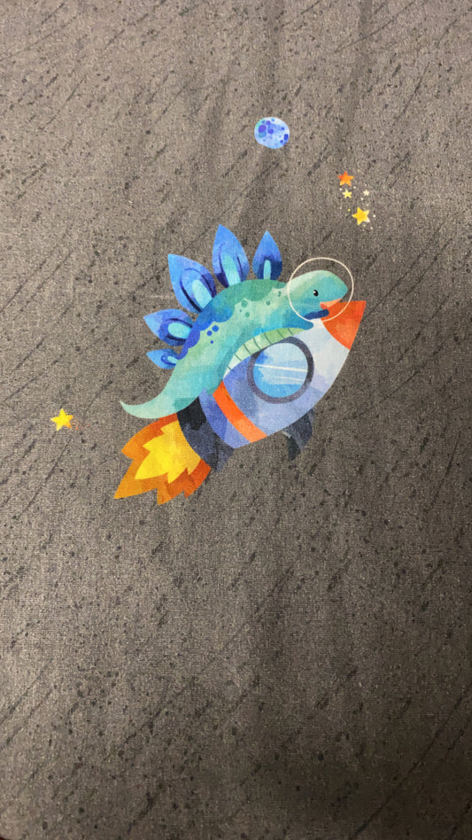 Vintage Space Dinos Panel - RTS