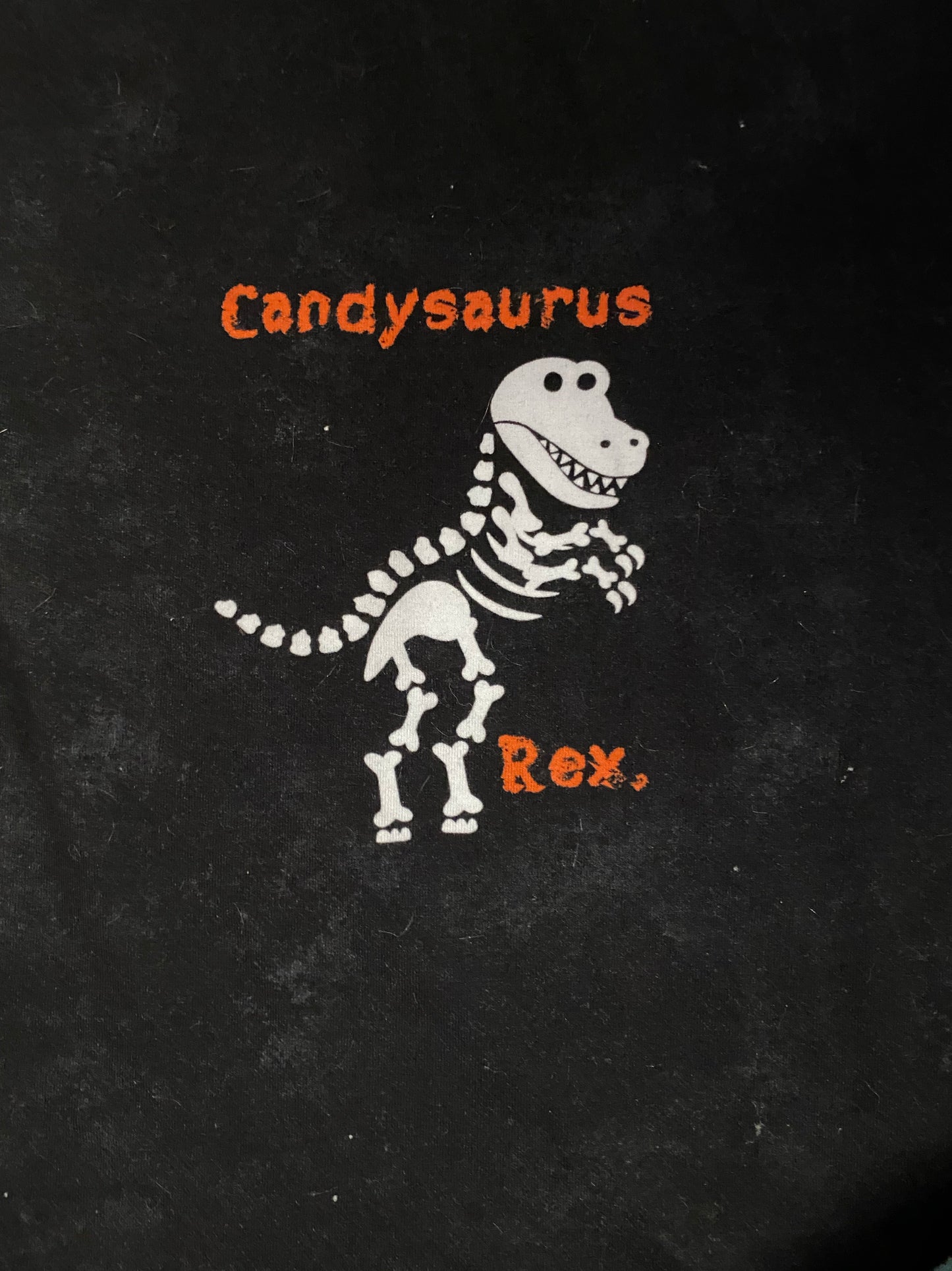 Candysaurus Rex Panel - RETAIL
